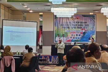 Pemprov Papua minta kabupaten/kota perkuat regulasi penanganan bencana