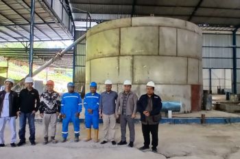 Pemerintah Aceh pastikan pengelolaan pinus di Gayo Lues sesuai aturan