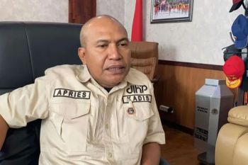 DLHP Ambon siapkan sembilan mobil angkut sampah berukuran kecil