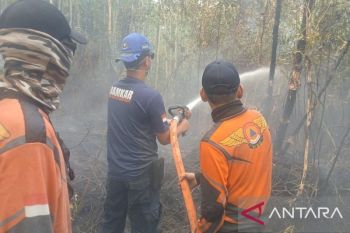 Tim BPBD Muara Enim padamkan karhutla di Sungai Rotan