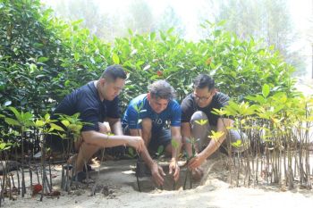Mangrove Jakarta Impact dan Digital Edge Indonesia,konservasi keempat di Pulau Tidung