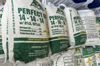 3 ton Sianida asal Filipina berhasil digagalkan, Diduga untuk pasok tambang ilegal