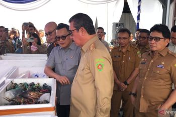 Pemprov Maluku bentuk Tim Percepatan Peningkatan Nilai Ekspor