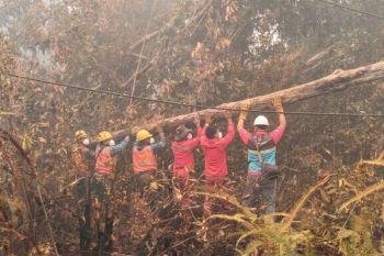 PLN Kalselteng-Damkar Barsel kolaborasi pemulihan jaringan listrik terdampak karhutla