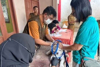 Pemkot Bandarlampung sediakan vaksin gratis sambut Hari Rabies Sedunia