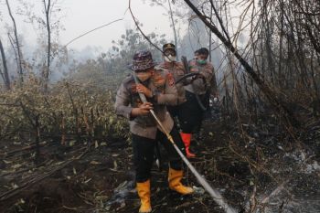 Kapolres Banjar siagakan tim Buru Api 1x24 jam tangani karhutla di kawasan gambut