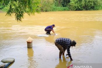 Pemkab uji kualitas air sungai di Aceh Jaya diduga tercemar pengolahan emas
