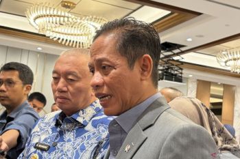 Wamenko Pangan sebut penanganan karhutla Kalsel jadi prioritas