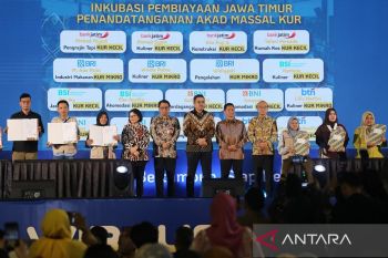 Menteri UMKM: Perpres Ojol disiapkan terintegrasi dengan regulasi lain