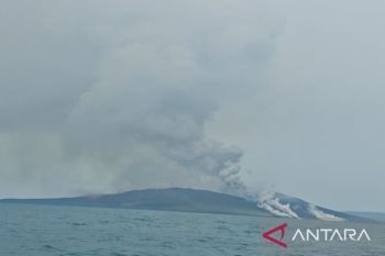 BPBD Lamsel imbau warga tetap waspada usai status GAK diturunkan jadi Level II