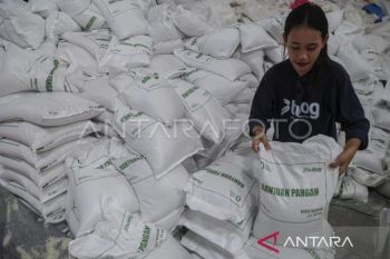 Pemprov Maluku optimalkan irigasi hadapi ancaman kekeringan