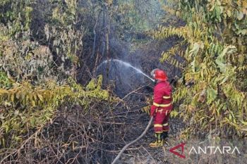 Sinergi antarpihak bantu kendalikan kebakaran di Desa Bantan