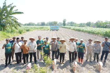 Pemkab Kediri tanam jagung perkuat ketahanan pangan