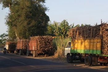 Petani apresiasi penyerapan tebu oleh PG Ngadiredjo Kediri