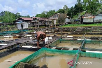 Pemkot Samarinda terapkan Sipeka Ikan atasi kendala kualitas air