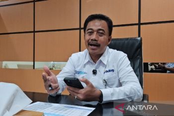 Bulog Papua siapkan 27.900 ton beras hingga akhir 2026