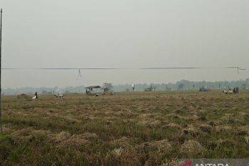 https://cdn.antaranews.com/cache/350x233/2026/09/24/1002328776.jpg
