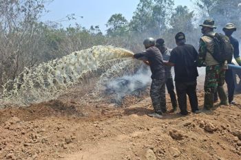 Tim gabungan padamkan karhutla di dua titik kawasan TNWK