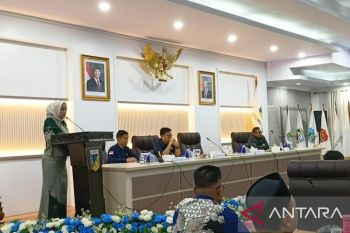 Pemprov Sulteng percepat program kelistrikan di 215 titik pada 2026