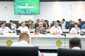 Setop impor singkong dongkrak harga dan buka pasar bioetanol