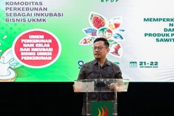 BPDP mendukung pendanaan hilirisasi bagi UKMK hingga Rp500 juta