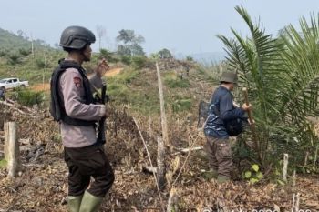 Forestry Ministry reclaims 300 ha in Bengkulu elephant corridor