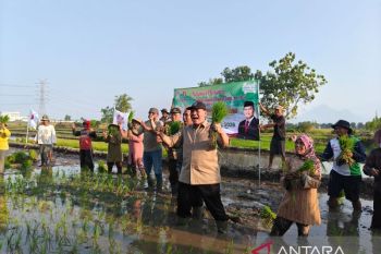 Bambang Haryo apresiasi Desa Wonokalang tiga kali tanam padi