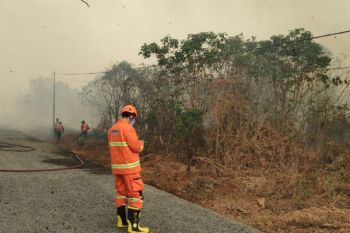 Keterbatasan peralatan jadi kendala penanganan karhutla di Kapuas