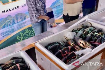 BKHIT Maluku akselerasi berbagai produk perikanan unggulan daerah menuju pasar global