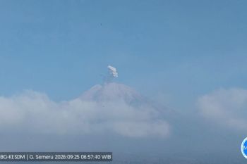 Dua kali erupsi, letusan Semeru 700 meter di atas puncak