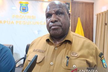 Pemprov Papua Pegunungan sebut bandara jadi penggerak utama ekonomi
