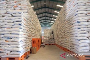 Bulog jamin stok beras aman hingga akhir 2026 di Kaltim dan Kaltara