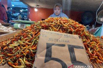 Pengamat sebut harga rica tinggi dorong inflasi Sulut 4,2 persen