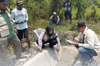 BBRMP Maluku salurkan RJIT untuk 20 kelompok tani di Malteng