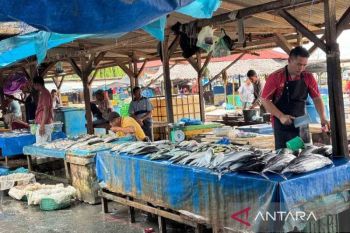 Hasil tangkapan ikan nelayan di PPN Aceh Timur capai 25,89 ton