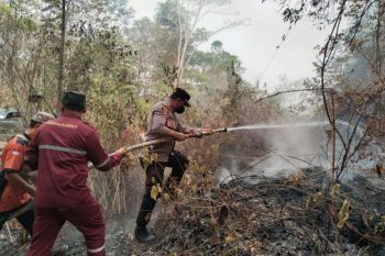 Polsek Muara Uya dan tim gabungan padamkan titik karhutla di Desa Salikung