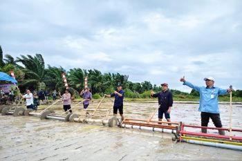 BRMP Aceh terapkan metode tanam padi modern seluas 314 hektare di Aceh Jaya