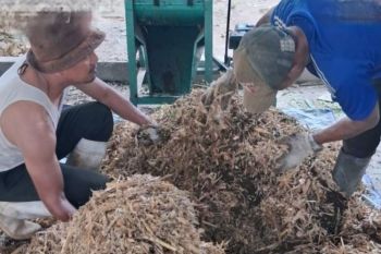 BKSDA Maluku perkuat deteksi dini penyakit zoonosis pada satwa liar