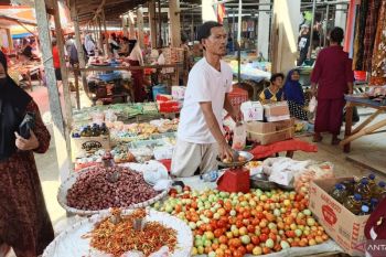 Pedagang Gorontalo Utara datangkan cabai dari Sulsel