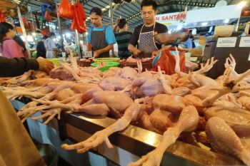 Realisasi KUR produktif di Kalbar capai Rp3,55 triliun