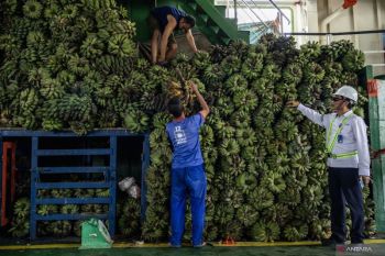 ASDP urat nadi pengiriman hasil bumi dari daerah terluar Indonesia