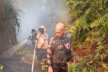 Riau reports zero active forest and land fires