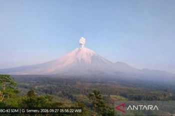 Semeru erupsi dengan tinggi letusan capai 1.300 meter di atas puncak