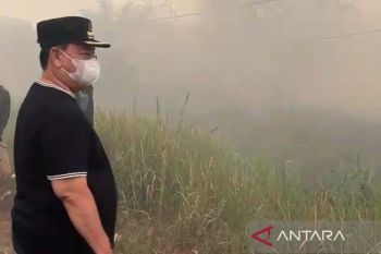 Pemkab Kotim tetap optimalkan penanganan karhutla meski mulai hujan