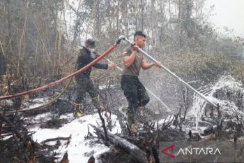 Dengan suntik gambut Polda padamkan karhutla 6,7 hektare
