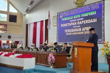 Gubernur Papua ajukan perubahan pendapatan APBD 2026 jadi Rp2,46 T
