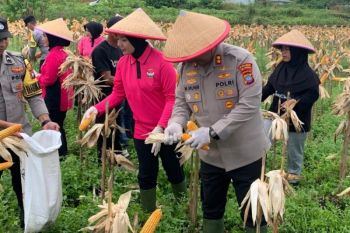 KPU Batam rekrut 2.884 Pantarlih
