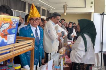 Menteri UMKM minta Pemprov Sulteng optimalkan pemanfaatan Kredit Usaha Rakyat