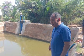Jepara perkuat sektor infrastruktur air pertanian antisipasi kekeringan