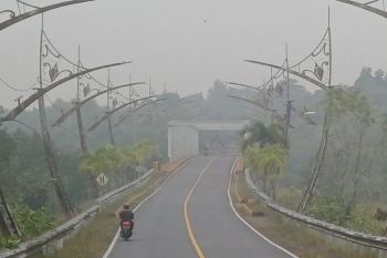 Dinkes Kepri imbau masyarakat waspadai dampak kabut asap terhadap kesehatan